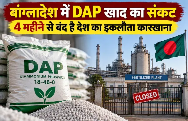 बांग्लादेश में DAP खाद का संकट, 4 महीने से बंद है देश का इकलौता कारखाना