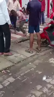 नशे में धुत दो युवकों का बैढ़न बस स्टैंड के पास हाईवोल्टेज ड्रामा